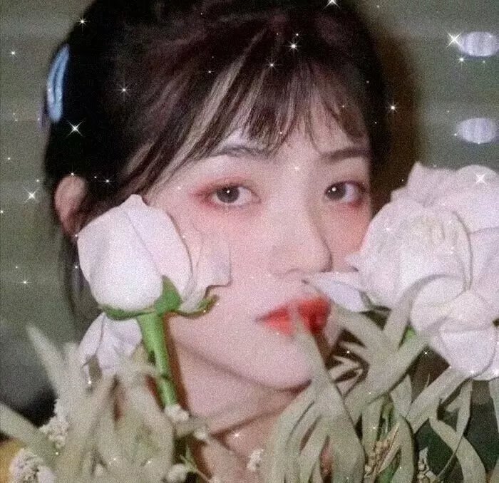 狼群出动