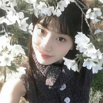 樱花开